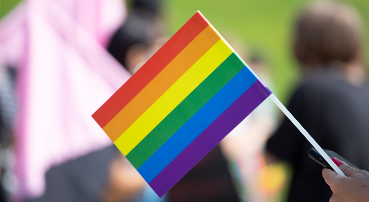 Healthcare Allyship and Progress Pride Stickers